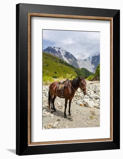 Horse standing by Adishchala River with Tetnuldi mountain peak in the background-Jan Miracky-Framed Photographic Print