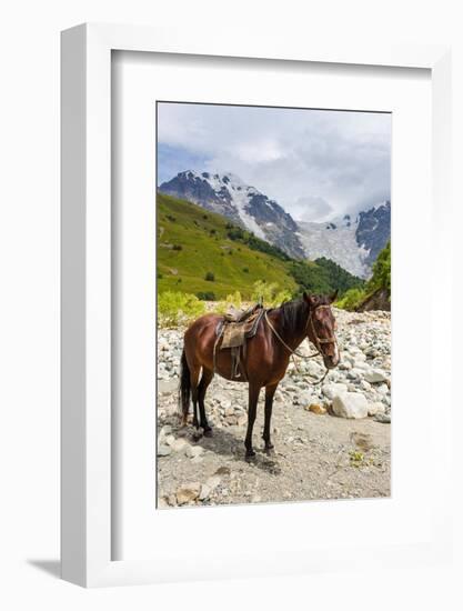 Horse standing by Adishchala River with Tetnuldi mountain peak in the background-Jan Miracky-Framed Photographic Print