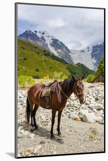 Horse standing by Adishchala River with Tetnuldi mountain peak in the background-Jan Miracky-Mounted Photographic Print