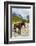 Horse standing by Adishchala River with Tetnuldi mountain peak in the background-Jan Miracky-Framed Photographic Print