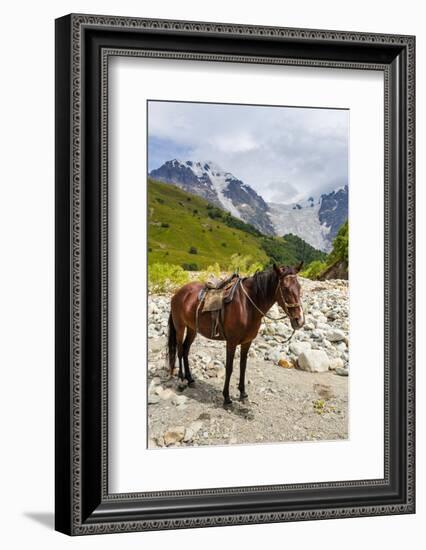 Horse standing by Adishchala River with Tetnuldi mountain peak in the background-Jan Miracky-Framed Photographic Print