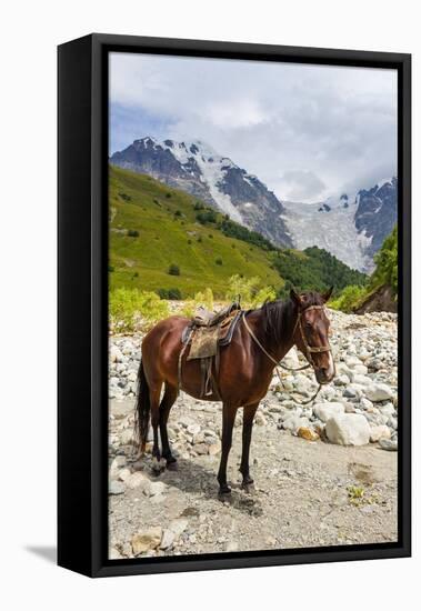 Horse standing by Adishchala River with Tetnuldi mountain peak in the background-Jan Miracky-Framed Premier Image Canvas