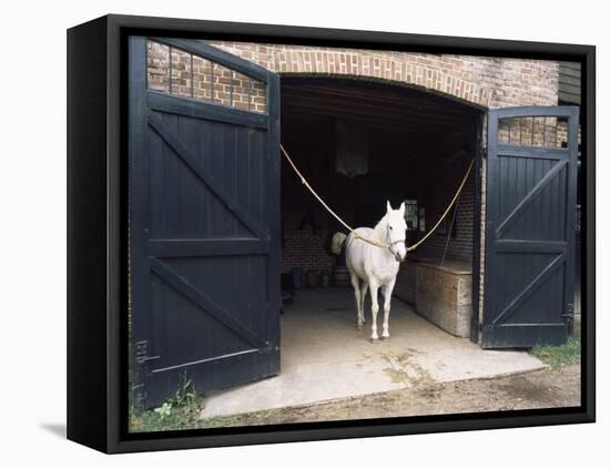 Horse Standing in a Stable, Middleton Place, Charleston, Charleston County, South Carolina, USA-null-Framed Premier Image Canvas