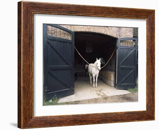 Horse Standing in a Stable, Middleton Place, Charleston, Charleston County, South Carolina, USA-null-Framed Photographic Print