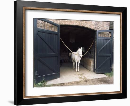 Horse Standing in a Stable, Middleton Place, Charleston, Charleston County, South Carolina, USA-null-Framed Photographic Print