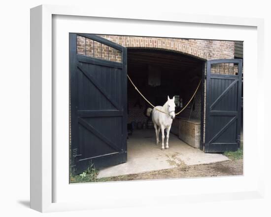 Horse Standing in a Stable, Middleton Place, Charleston, Charleston County, South Carolina, USA-null-Framed Photographic Print