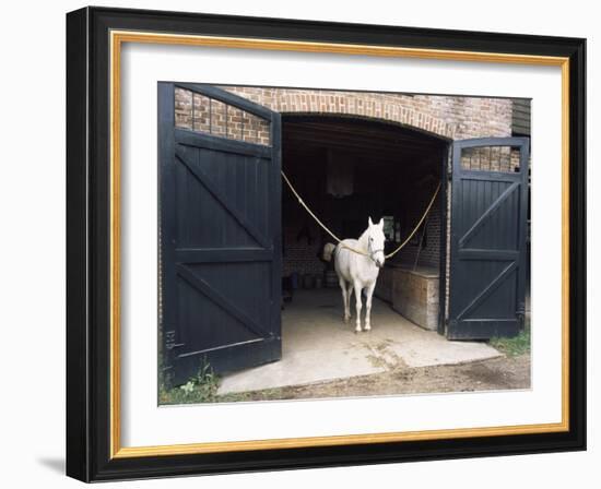 Horse Standing in a Stable, Middleton Place, Charleston, Charleston County, South Carolina, USA-null-Framed Photographic Print