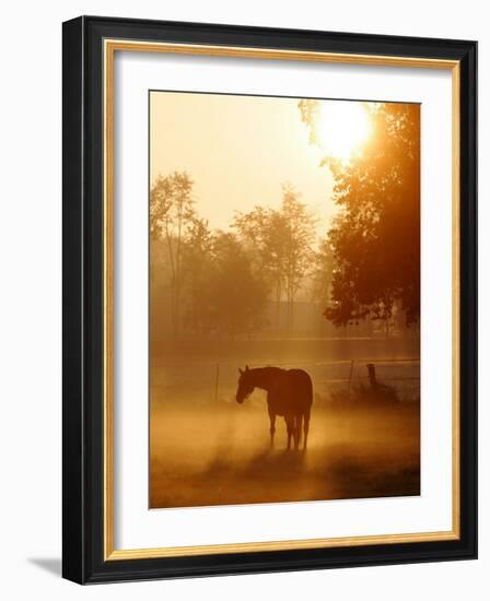 Horse Stands in a Meadow in Early Morning Fog in Langenhagen, Northern Germany-null-Framed Photographic Print