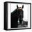 Horse Still 1-Schribler & Sons-Framed Premier Image Canvas