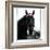 Horse Still 1-Schribler & Sons-Framed Giclee Print