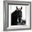 Horse Still 1-Schribler & Sons-Framed Giclee Print