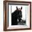 Horse Still 1-Schribler & Sons-Framed Giclee Print