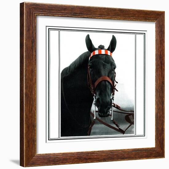 Horse Still 1-Schribler & Sons-Framed Giclee Print