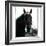 Horse Still 1-Schribler & Sons-Framed Giclee Print