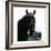 Horse Still 1-Schribler & Sons-Framed Giclee Print