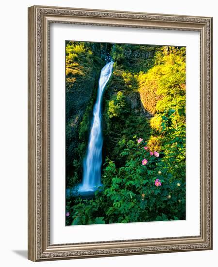 Horse Tail Falls-Ike Leahy-Framed Photographic Print