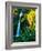 Horse Tail Falls-Ike Leahy-Framed Photographic Print