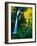 Horse Tail Falls-Ike Leahy-Framed Photographic Print