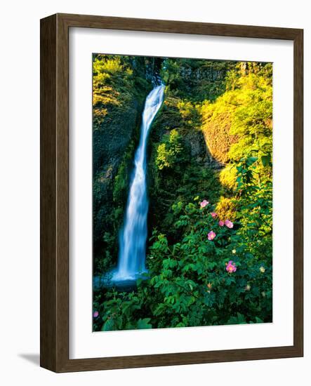 Horse Tail Falls-Ike Leahy-Framed Photographic Print