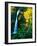 Horse Tail Falls-Ike Leahy-Framed Photographic Print