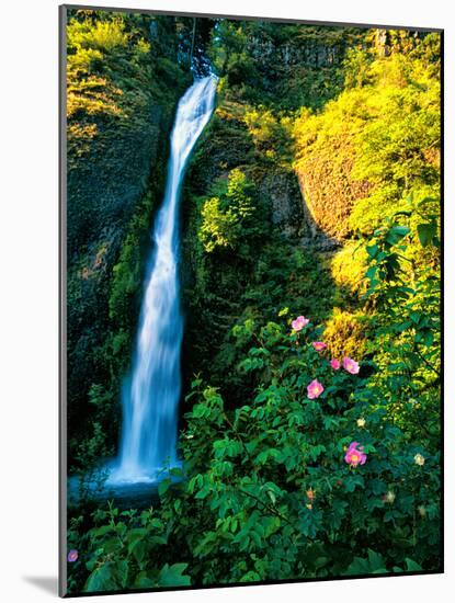 Horse Tail Falls-Ike Leahy-Mounted Photographic Print