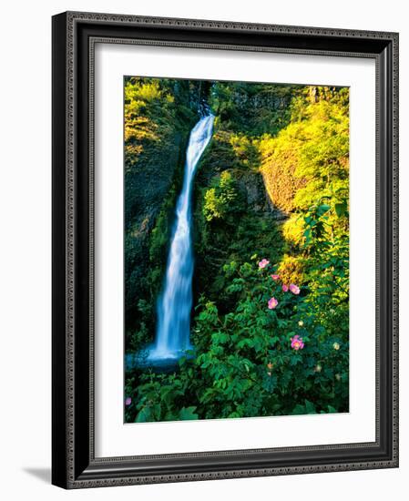 Horse Tail Falls-Ike Leahy-Framed Photographic Print