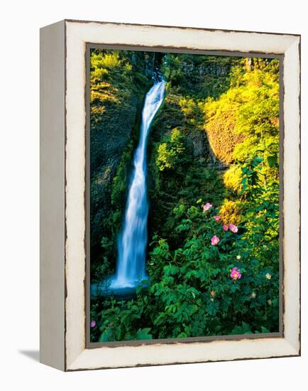Horse Tail Falls-Ike Leahy-Framed Premier Image Canvas