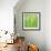 Horse Tail Grass Abstract No 24-Shams Rasheed-Framed Giclee Print displayed on a wall