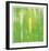 Horse Tail Grass Abstract No 24-Shams Rasheed-Framed Giclee Print