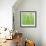 Horse Tail Grass Abstract No 43-Shams Rasheed-Framed Giclee Print displayed on a wall