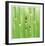 Horse Tail Grass Abstract No 43-Shams Rasheed-Framed Giclee Print