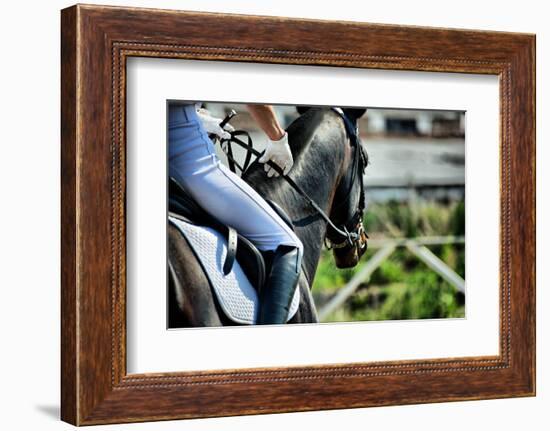 Horse Theme: Jockeys, Horse Races, Speed.-prometeus-Framed Photographic Print