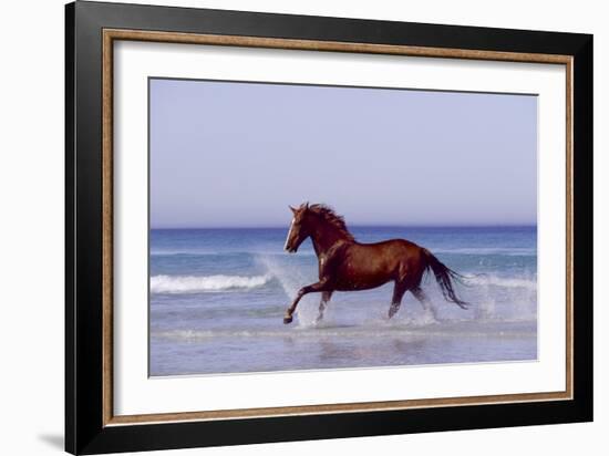 Horse Trotting Through Waves in Sea-null-Framed Photographic Print