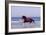 Horse Trotting Through Waves in Sea-null-Framed Photographic Print