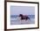 Horse Trotting Through Waves in Sea-null-Framed Photographic Print