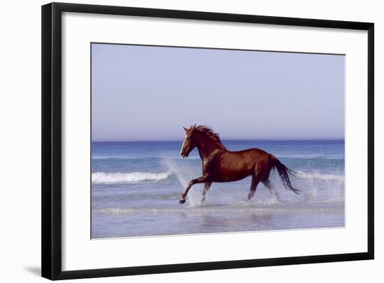 Horse Trotting Through Waves in Sea-null-Framed Photographic Print
