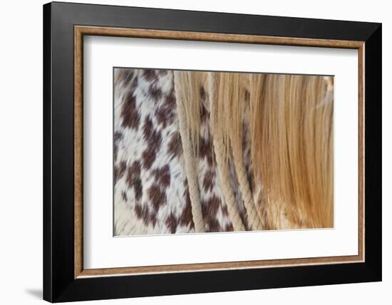 Horse Up Close II-Lee Peterson-Framed Photographic Print