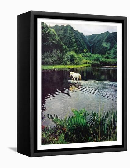 Horse Wading in Stream Amid Hills in Papera Region, South Seas-Eliot Elisofon-Framed Premier Image Canvas