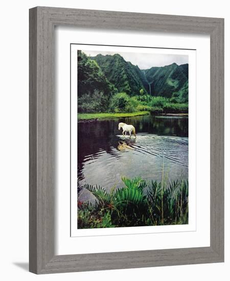 Horse Wading in Stream Amid Hills in Papera Region, South Seas-Eliot Elisofon-Framed Photographic Print