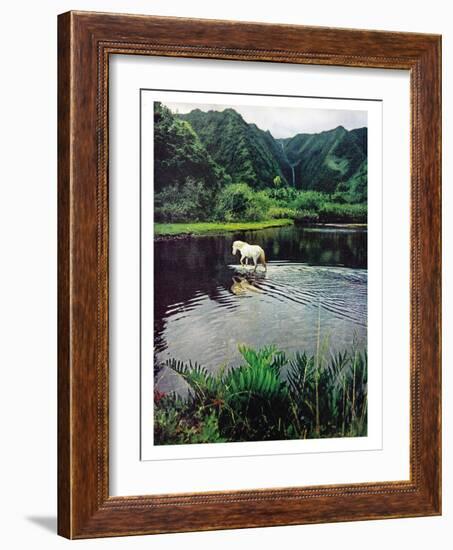 Horse Wading in Stream Amid Hills in Papera Region, South Seas-Eliot Elisofon-Framed Photographic Print