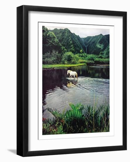 Horse Wading in Stream Amid Hills in Papera Region, South Seas-Eliot Elisofon-Framed Photographic Print