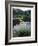 Horse Wading in Stream Amid Hills in Papera Region, South Seas-Eliot Elisofon-Framed Photographic Print