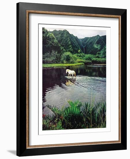 Horse Wading in Stream Amid Hills in Papera Region, South Seas-Eliot Elisofon-Framed Photographic Print