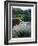 Horse Wading in Stream Amid Hills in Papera Region, South Seas-Eliot Elisofon-Framed Photographic Print