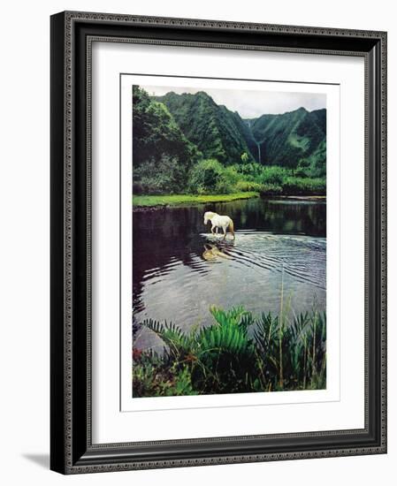 Horse Wading in Stream Amid Hills in Papera Region, South Seas-Eliot Elisofon-Framed Photographic Print