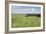 Horse Wallowing in Green Prairie-Quintanilla-Framed Photographic Print