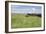 Horse Wallowing in Green Prairie-Quintanilla-Framed Photographic Print