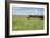 Horse Wallowing in Green Prairie-Quintanilla-Framed Photographic Print