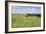 Horse Wallowing in Green Prairie-Quintanilla-Framed Photographic Print