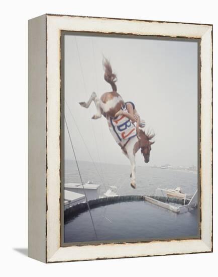 Horse with LBJ Banner Diving into the Water at Atlantic City-Art Rickerby-Framed Premier Image Canvas